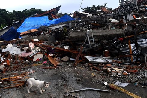 Tinjau Lokasi Gempa Mamuju, Jokowi: Bangunan Pemerintah dan Rumah-rumah Warga Roboh