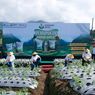 Pupuk Subsidi Hanya untuk Bawang dan Cabai, Ini Terobosan Pupuk Petrokimia Gresik untuk Demplot Tomat