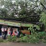 Hujan Deras dan Angin Kencang di Bekasi, Pohon Setinggi 10 Meter Tumbang