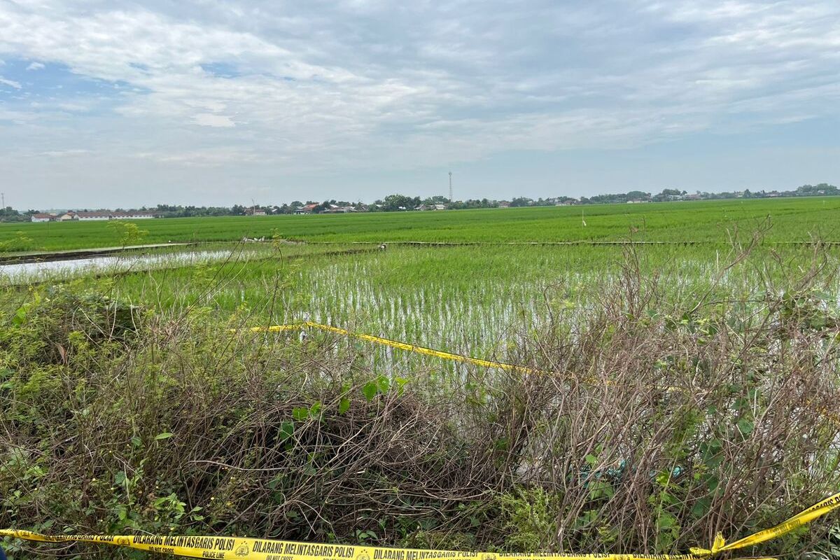 Sosok mayat tanpa kepala ditemukan di saluran irigasi persawahan Desa Dukuharum, Kecamatan Megaluh, Kabupaten Jombang, Jawa Timur, Rabu (12/2/2025).
