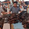 Pakar PBB: Mencegah Pandemi Lebih Murah dibanding Sembuhkan Penyakit