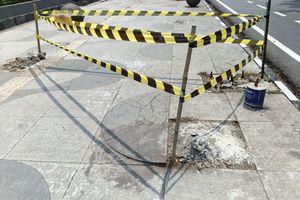 Lurah Cihapit Siap Disanksi Buntut 10 Pohon Ditebang, Klaim Sudah Jalankan Tugas