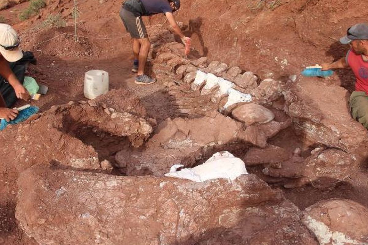 Paleontolog menemukan sisa-sisa fosil berusia 98 juta tahun di Provinsi Neuquen di Patagonia barat laut Argentina. 