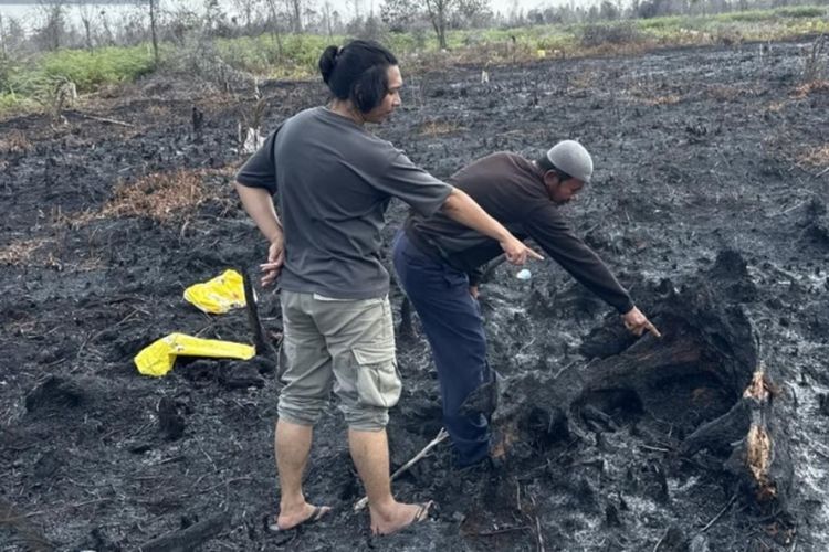 Hutan Sengaja Dibakar untuk Ditanami Sawit, Dua Tersangka Karhutla Ditangkap di Bengkalis