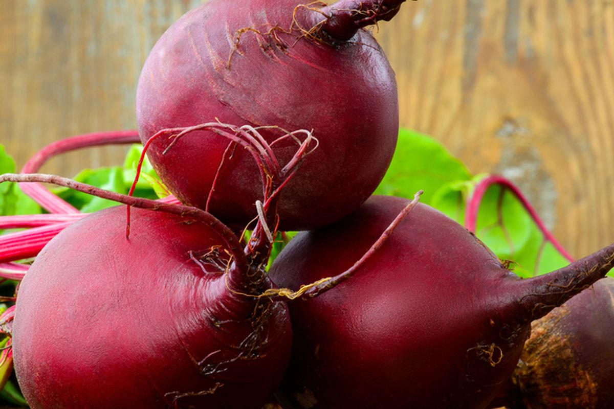 Ilustrasi buah bit. 