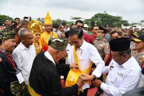 Jokowi Datang, Peremajaan Sawit Rakyat di Riau Dimulai