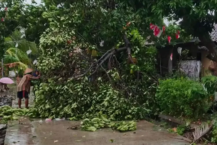 Puting Beliung Terjang 2 Kecamatan di Jombang, Atap Rumah Rusak hingga Kandang Sapi Ambruk