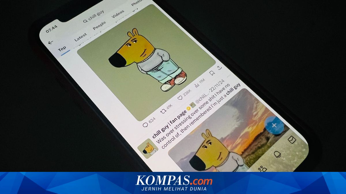 Ramai Meme Chill Guy di Media Sosial, Begini Arti dan Asal-usulnya