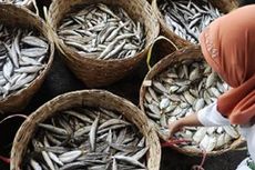 FAO: Harga Ikan Dunia Cenderung Naik