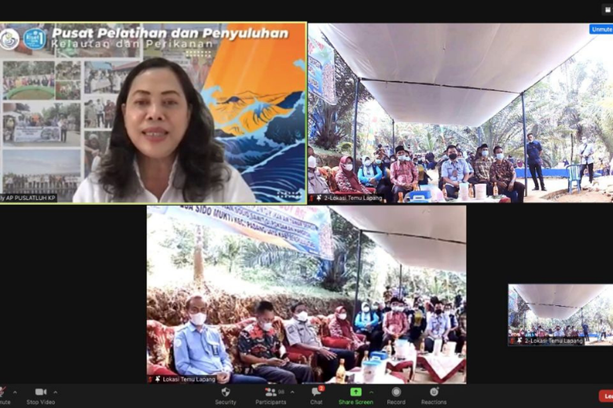 Kegiatan percontohan budidaya magot BSF. 