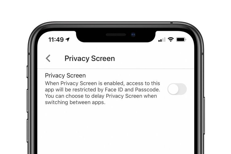 Privacy Screen on iOS 14