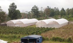 Berdayakan Petani Lokal, Dompet Dhuafa Luncurkan Green House Lido yang Mampu Tampung 1.600 Tanaman