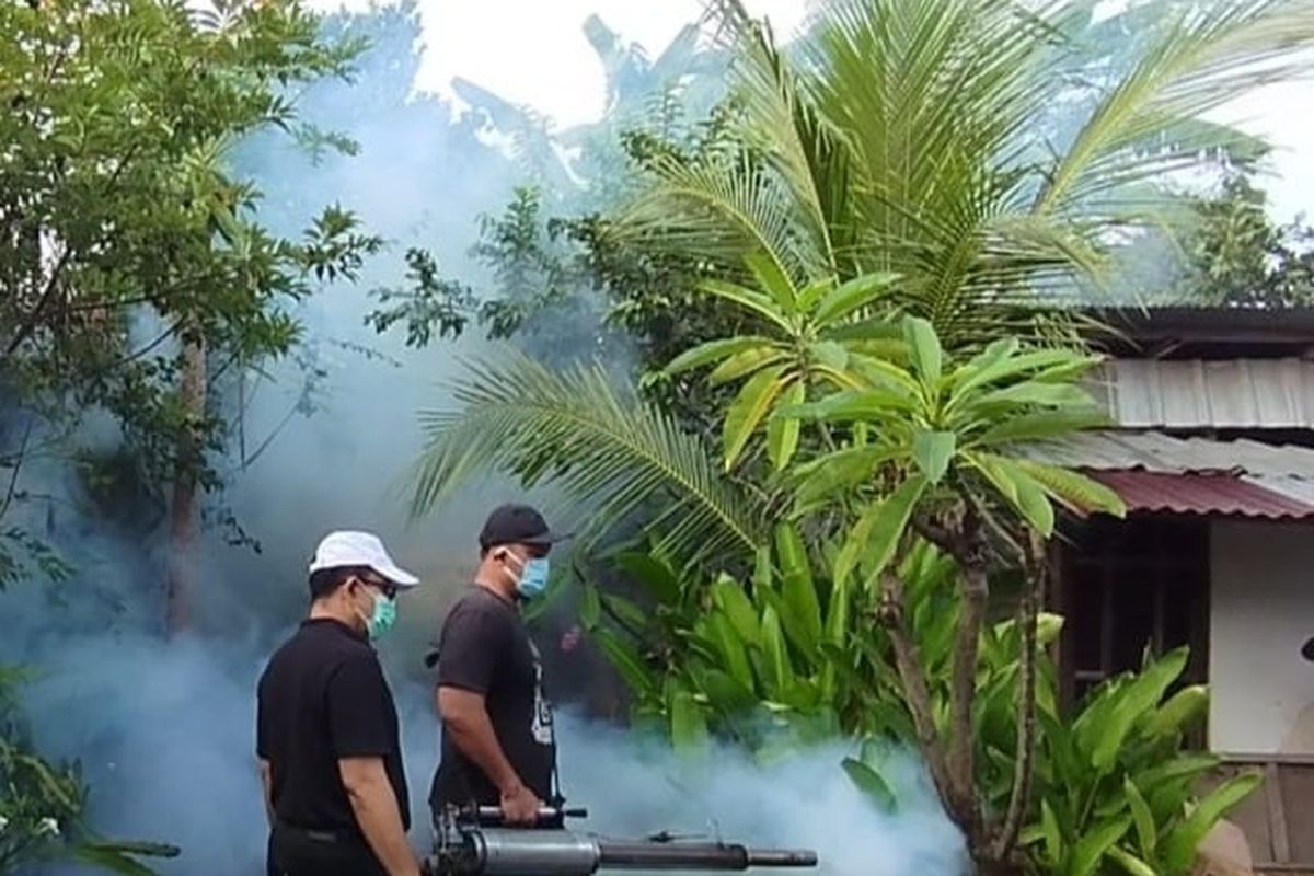 Fogging atau pengasapan yang dilakukan sejumlah relawan untuk mencegah penyebaran DBD, Minggu (11/5/2025) di Desa Kerobokan, Kecamatan Sawan, Kabupaten Buleleng, Provinsi Bali.