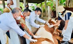 IPB Dukung Kementan Tangani Wabah Penyakit Mulut dan Kuku