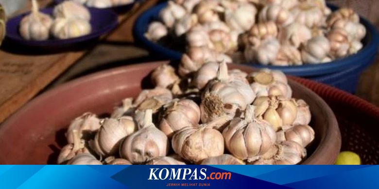 4 Manfaat Tersembunyi Bawang Putih Salah Satunya Bikin Luka Bakar Halaman All Kompas Com