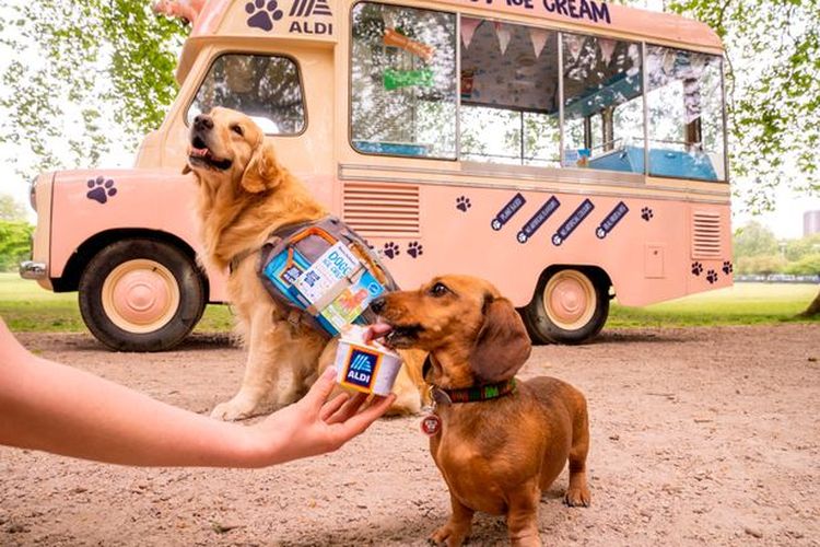 Es krim khusus anjing di Inggris selama musim panas 2022