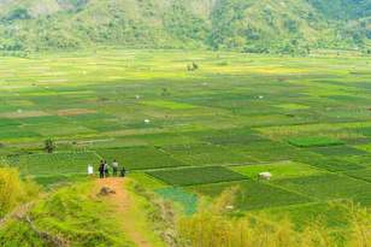 Bukit Selong, Lombak, Nusa Tenggara Barat