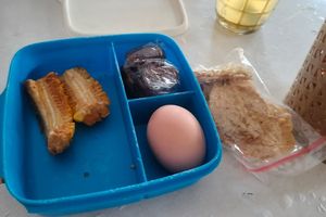 Sultan HB X Minta Menu MBG Diperbaiki, Diberi Keterangan Harga