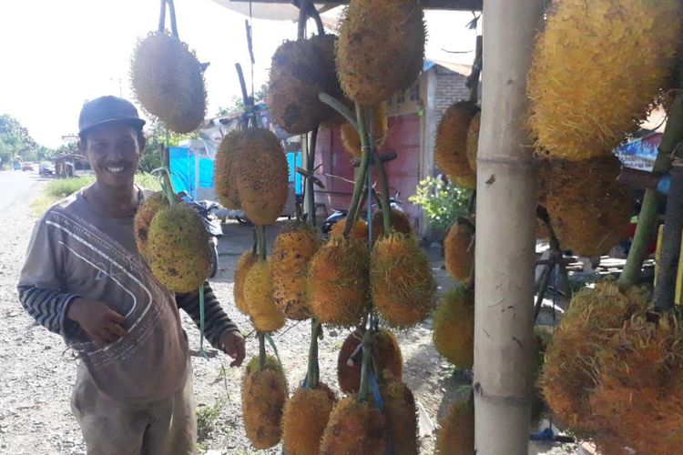 Buah Tarra dapat dijumpai di jalan trans sulawesi Kecamatan Ponrang Selatan. Buah ini adalah salah satu buah lokal khas Kabupaten Luwu, Sulawesi Selatan, Rabu (6/2/2019).