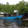 Berkat Keterlibatan Aktif Masyarakat, Laju Kerusakan Mangrove di Desa Ini Turun 96 Persen