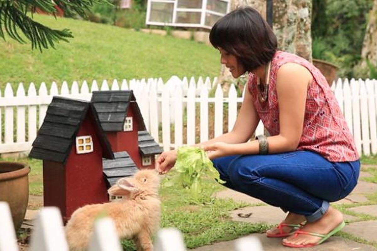 Bermain dengan kelinci di Rabbit Village, Novus Giri Resort and Spa, Puncak