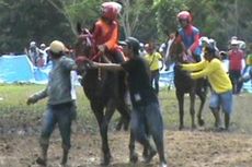 Lomba Pacuan Kuda, Menyenangkan dan Mendebarkan