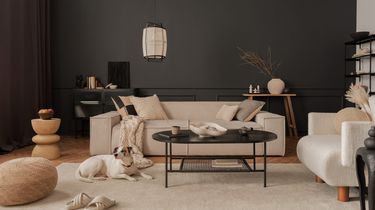 Jangan Takut Warna Gelap, Bisa Bikin Hunian Lebih Nyaman