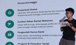 Tak Cuma Anabul, IIPE 2026 Buka Panggung untuk Serangga