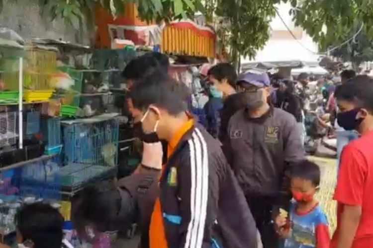 Pasar Ikan Hias Jatinegara, Jakarta Timur, kembali ramai pengunjung pada masa pemberlakuan PSBB, Minggu (31/5/2020).