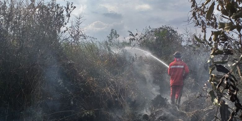 Tim Manggala Agni Daops Siak memadamkan titik api karhutla di Kampung Bunsur, Kecamatan Sungai Apit, Kabupaten Siak, Riau, Selasa (11/2/2020).