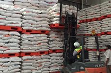 Produksi Beras Naik, Cadangan Nasional Dekati 4 Juta Ton