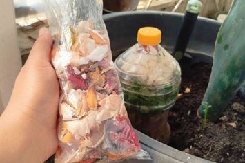 Reusable Bag hingga Panen Kompos, Langkah Kecil Mengurangi Sampah