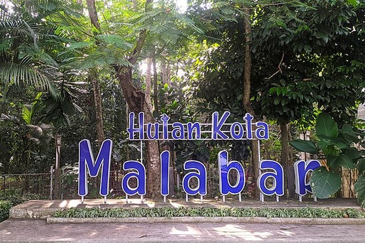 Hutan Kota Malabar, Malang. Salah satu wisata gratis di Malang