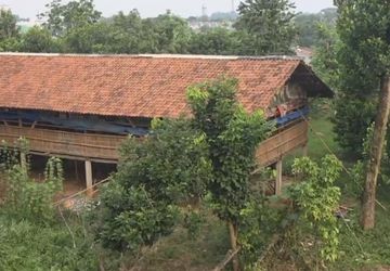 Berapa Jarak Ideal Kandang Ayam Besar dengan Perumahan?