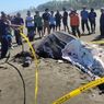 Warga Potong-potong Bangkai Hiu Tutul yang Terdampar di Pantai Cilacap
