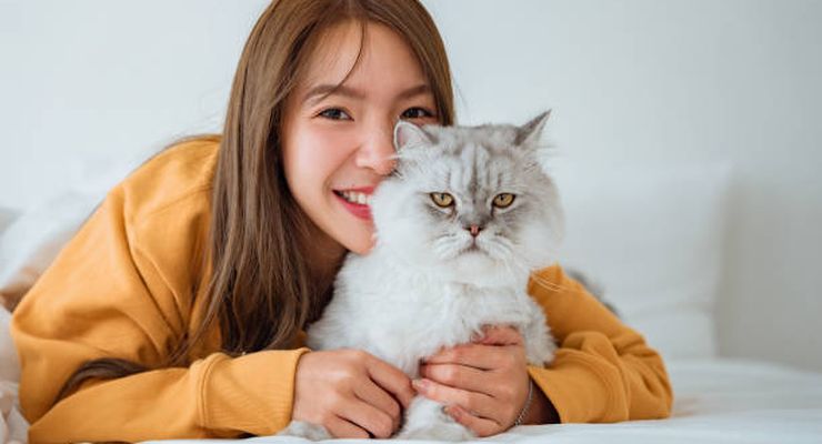Memelihara Kucing Bisa Mengubah Otak Kita, Mengapa?