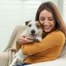 7 Obat Gatal Alami untuk Anjing, Bisa Ditemukan di Rumah