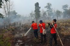Kebakaran Hutan dan Lahan di Dumai, Petugas Kesulitan Padamkan Api