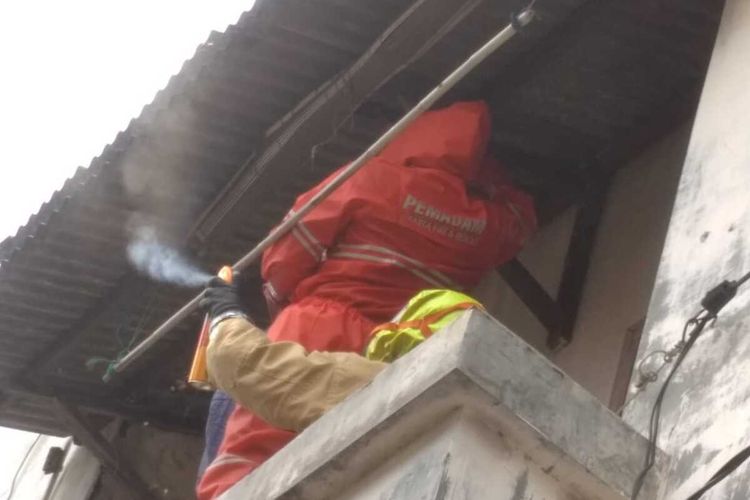 Petugas Suku Dinas Penanggulangan Kebakaran dan Penyelamatan Jakarta Timur saat mengevakuasi sarang tawon di salah satu rumah warga di Jalan Raya Tenggah, Pasar Rebo, Jakarta Timur, Rabu (11/12/2019).