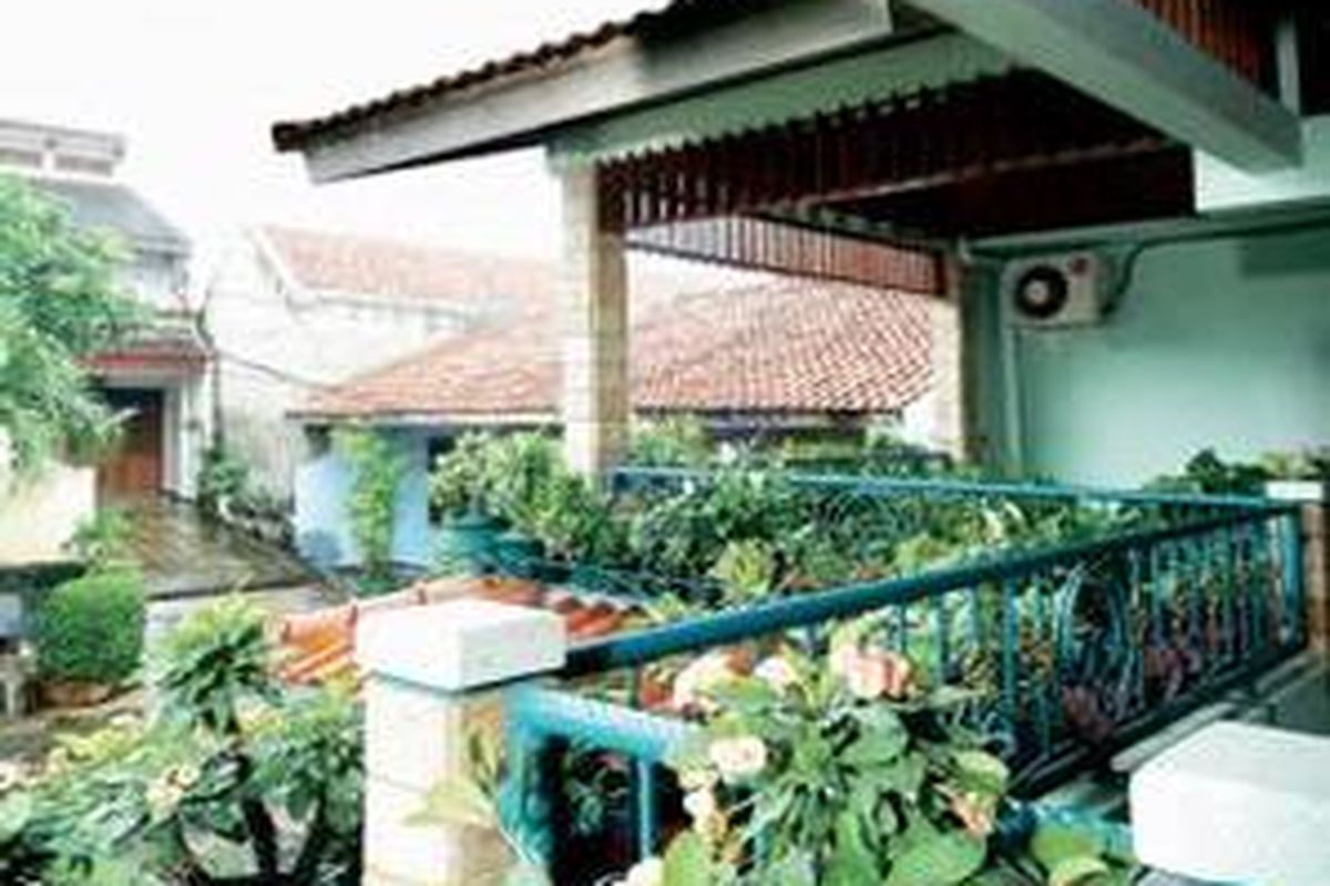 Pot tanaman di balkon.