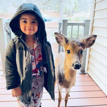 Seorang bocah bernama Dominic membawa anak rusa ke Massanutten Resort, Virginia, Amerika Serikat (AS).