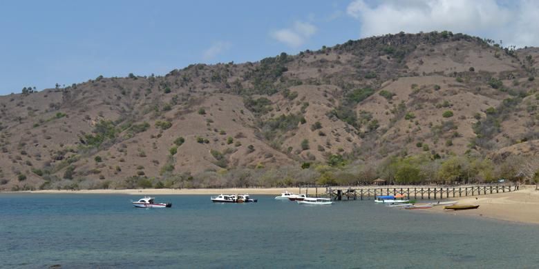 Beberapa kapal cepat yang membawa wisatawan bersandar di salah satu dermaga di Pulau Komodo, Kecamatan Komodo, Manggarai Barat, Nusa Tenggara Timur, Kamis (19/11/2015) pagi.