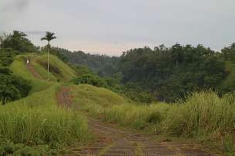 Campuhan, begitu nama bukit itu, disebut-sebut sebagai salah satu tempat paling fotogenik di Pulau Dewata.