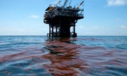 Mikroba Jadi Solusi Alami untuk Laut Tercemar Tumpahan Minyak