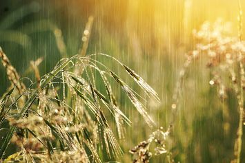 10 Makna Hujan dalam Islam, Hubungan Fenomena dan Spiritual Seseorang