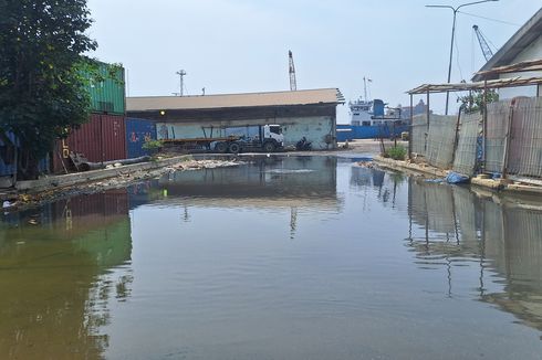 Warga Keluhkan Banjir Rob di Pelabuhan Sunda Kelapa Bau dan Takut Bikin Penyakit