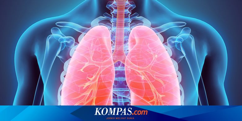 Bagaimana Cara Mengetahui Kondisi Paru-paru Kita Sehat atau Tidak? Halaman  all - Kompas.com