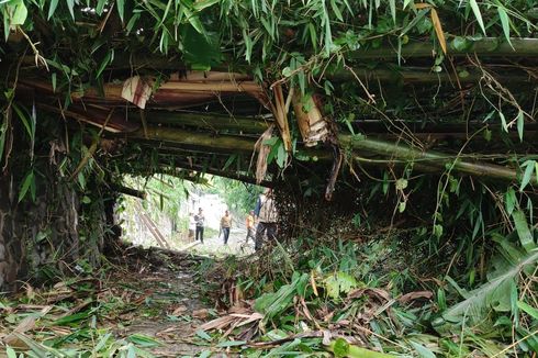 Bongkahan Bambu Tergerus Longsor Tutupi Jalan Alternatif Lembang KBB