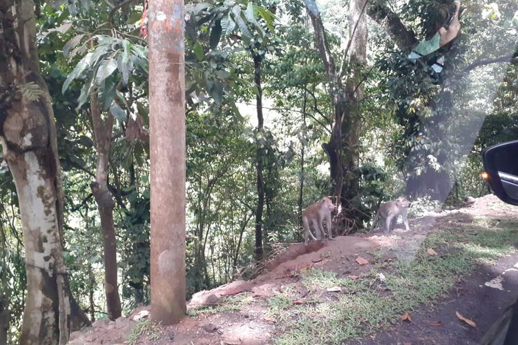 Mengemudi merupakan tindakan yang berisiko karena membutuhkan konsentrasi tinggi.