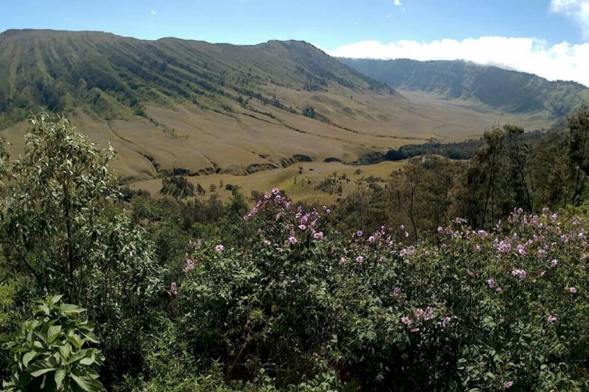 Balai Besar Taman Nasional Bromo Tengger Semeru (BB-TNBTS)